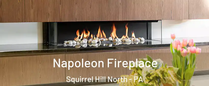 Napoleon Fireplace Squirrel Hill North - PA