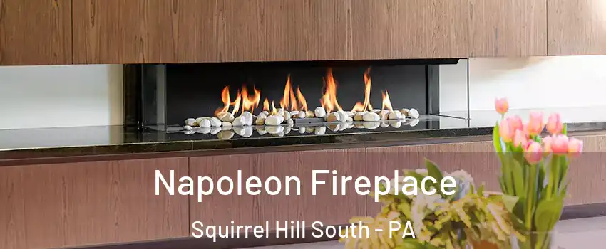 Napoleon Fireplace Squirrel Hill South - PA
