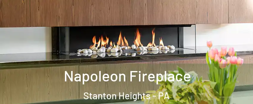 Napoleon Fireplace Stanton Heights - PA