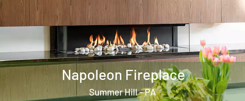 Napoleon Fireplace Summer Hill - PA