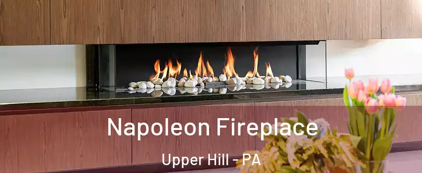 Napoleon Fireplace Upper Hill - PA