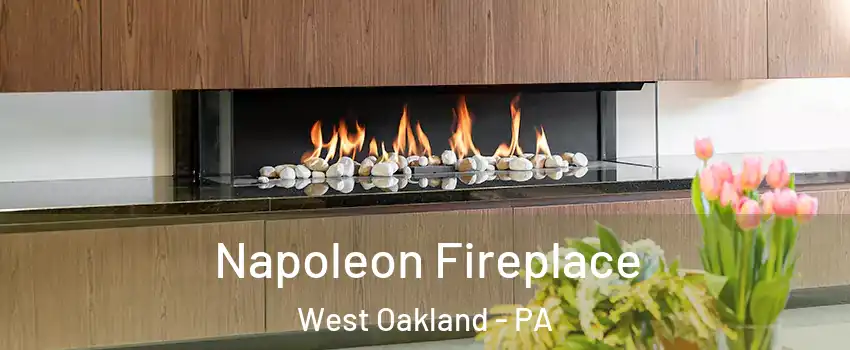 Napoleon Fireplace West Oakland - PA
