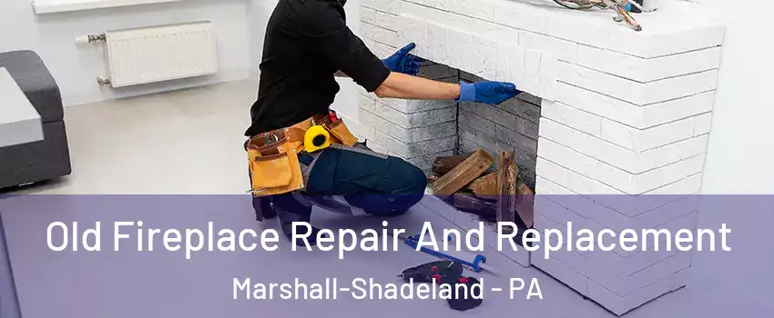 Old Fireplace Repair And Replacement Marshall-Shadeland - PA