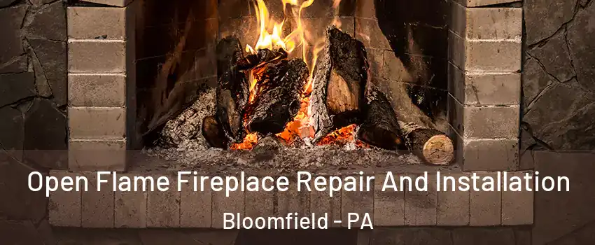 Open Flame Fireplace Repair And Installation Bloomfield - PA