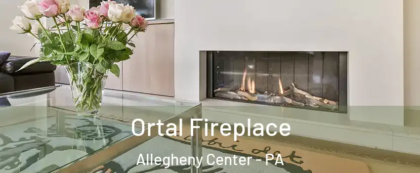 Ortal Fireplace Allegheny Center - PA