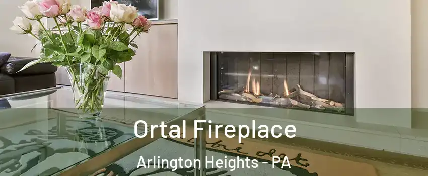 Ortal Fireplace Arlington Heights - PA