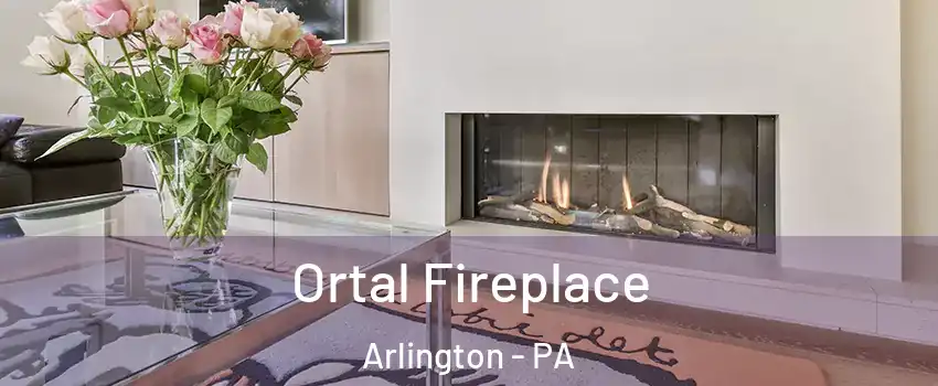 Ortal Fireplace Arlington - PA