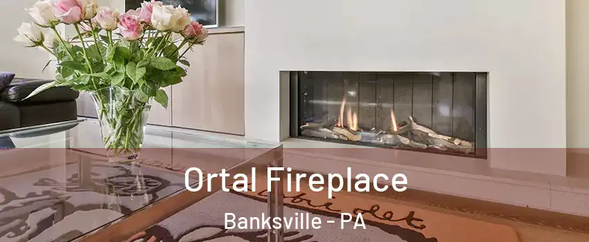 Ortal Fireplace Banksville - PA