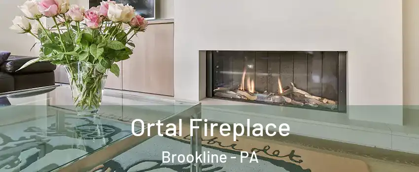 Ortal Fireplace Brookline - PA