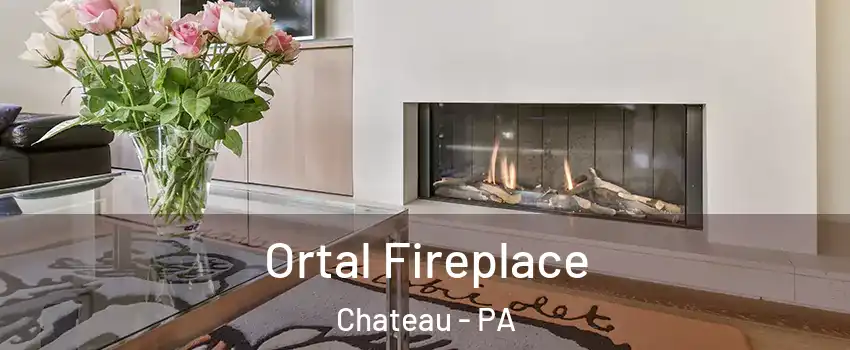 Ortal Fireplace Chateau - PA