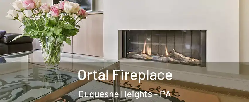 Ortal Fireplace Duquesne Heights - PA