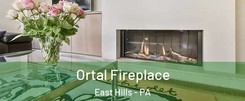 Ortal Fireplace East Hills - PA