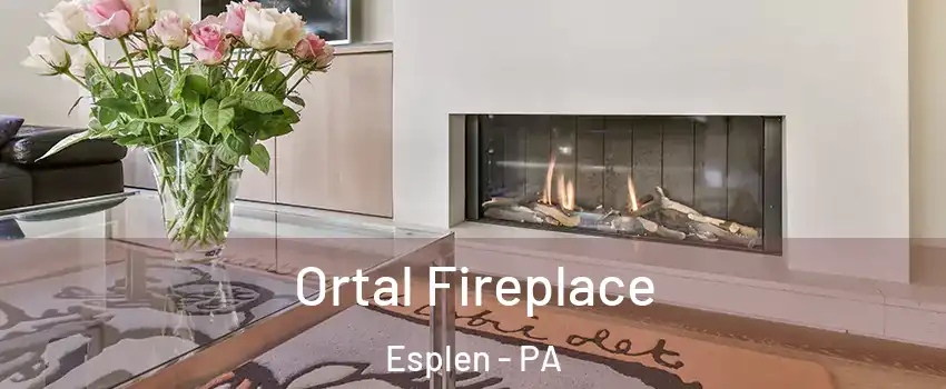 Ortal Fireplace Esplen - PA
