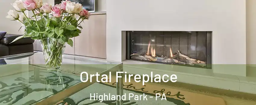 Ortal Fireplace Highland Park - PA