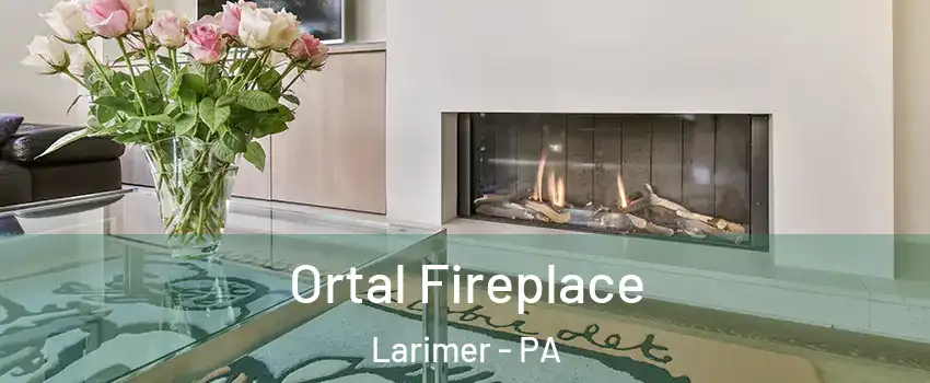 Ortal Fireplace Larimer - PA
