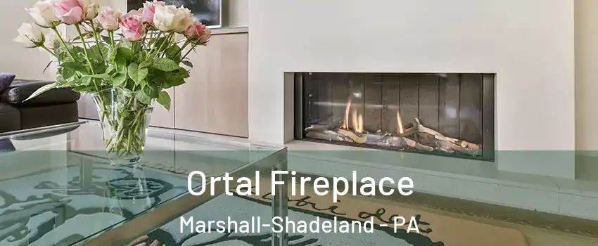 Ortal Fireplace Marshall-Shadeland - PA