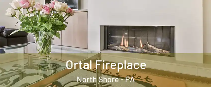 Ortal Fireplace North Shore - PA