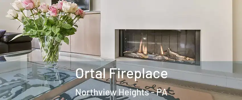 Ortal Fireplace Northview Heights - PA