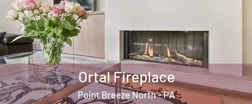 Ortal Fireplace Point Breeze North - PA