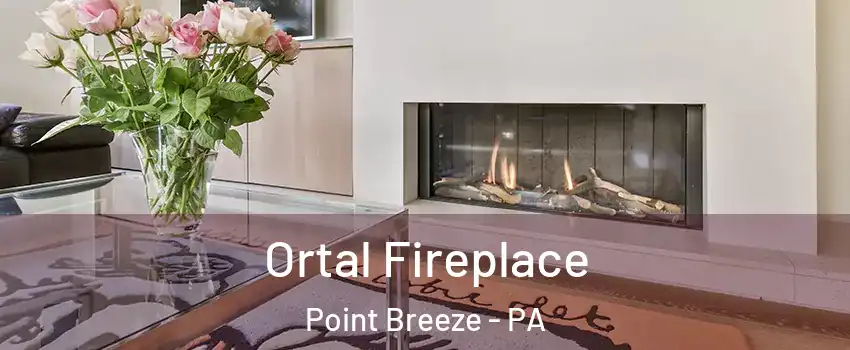Ortal Fireplace Point Breeze - PA
