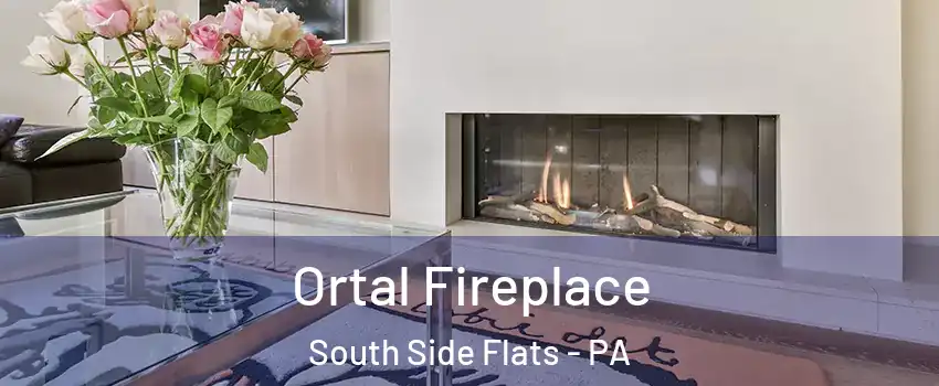 Ortal Fireplace South Side Flats - PA