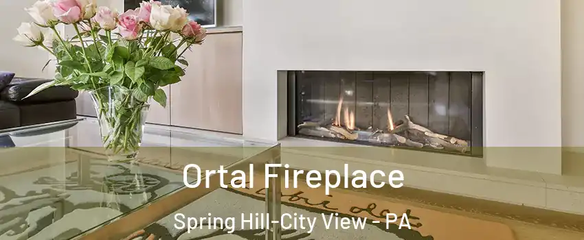 Ortal Fireplace Spring Hill-City View - PA