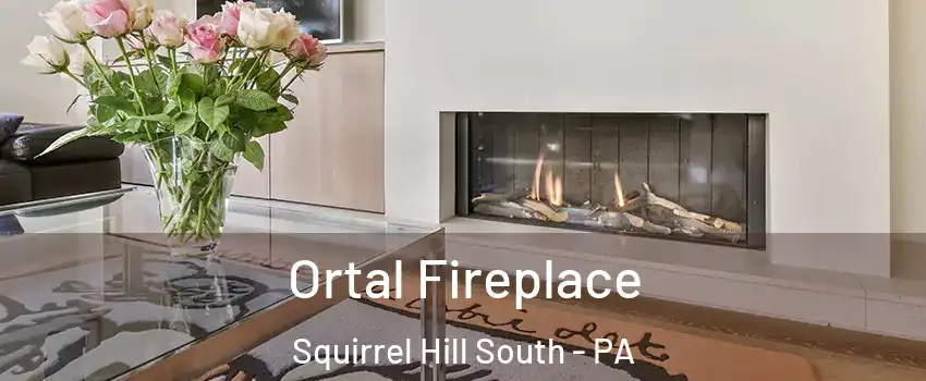 Ortal Fireplace Squirrel Hill South - PA