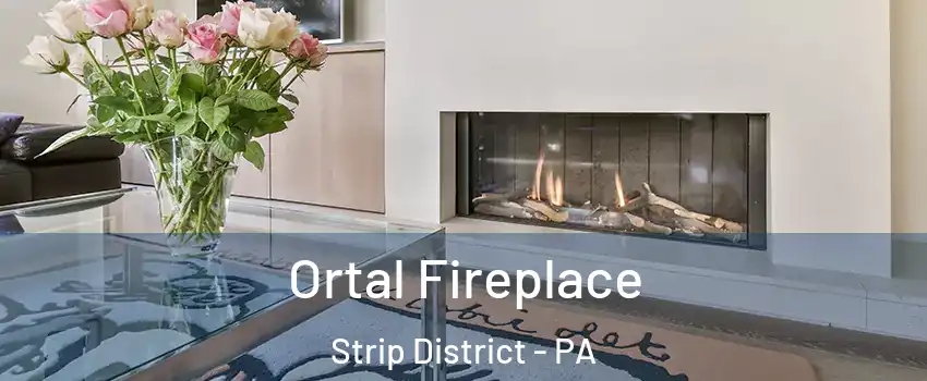 Ortal Fireplace Strip District - PA