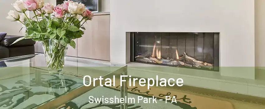 Ortal Fireplace Swisshelm Park - PA