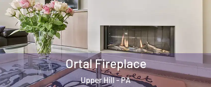 Ortal Fireplace Upper Hill - PA