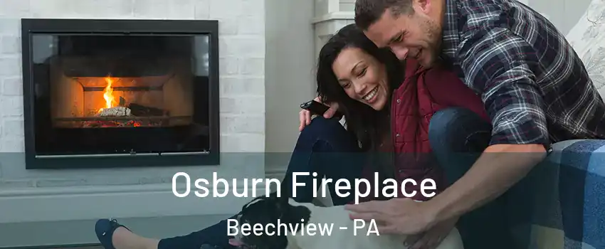 Osburn Fireplace Beechview - PA