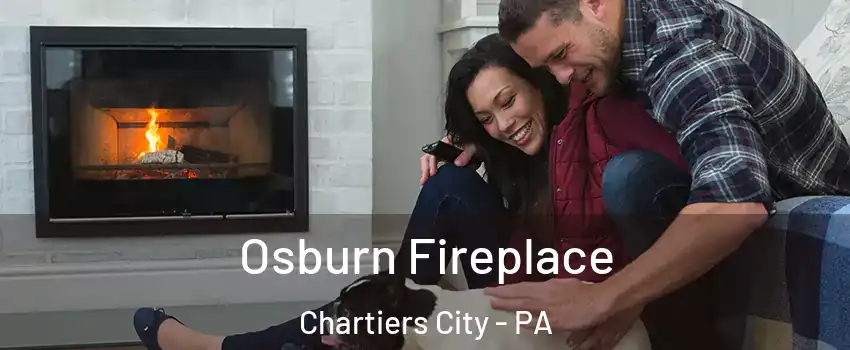 Osburn Fireplace Chartiers City - PA