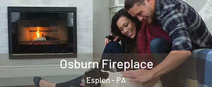 Osburn Fireplace Esplen - PA