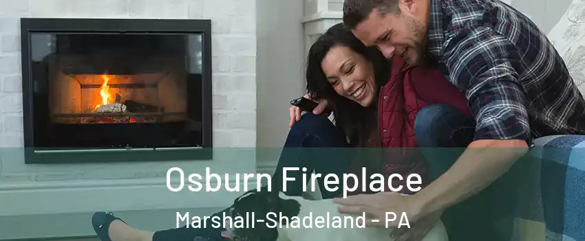 Osburn Fireplace Marshall-Shadeland - PA