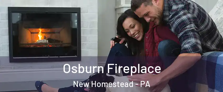 Osburn Fireplace New Homestead - PA