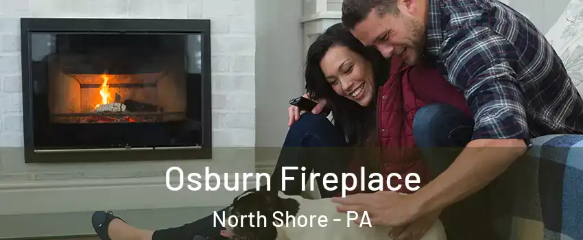 Osburn Fireplace North Shore - PA