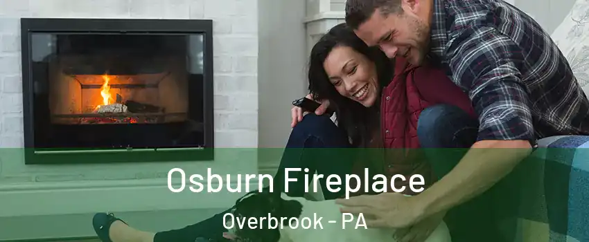 Osburn Fireplace Overbrook - PA