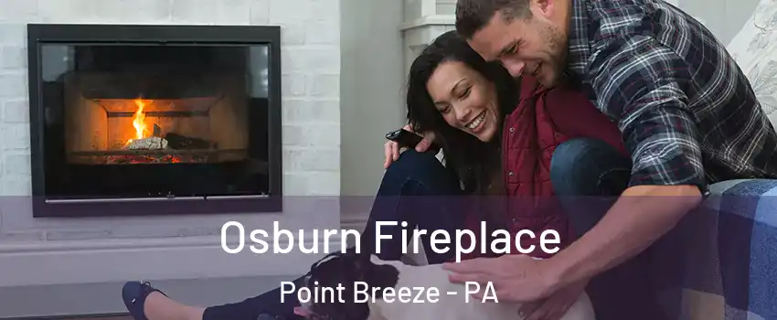 Osburn Fireplace Point Breeze - PA