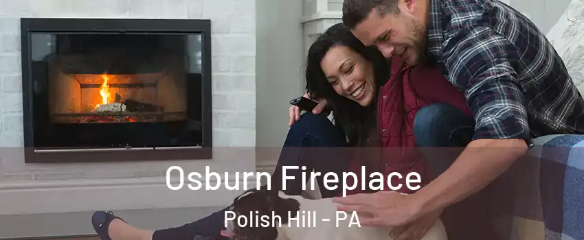 Osburn Fireplace Polish Hill - PA