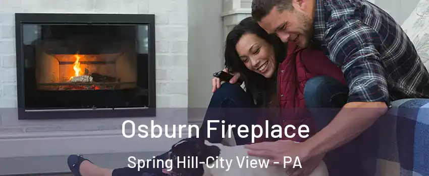 Osburn Fireplace Spring Hill-City View - PA