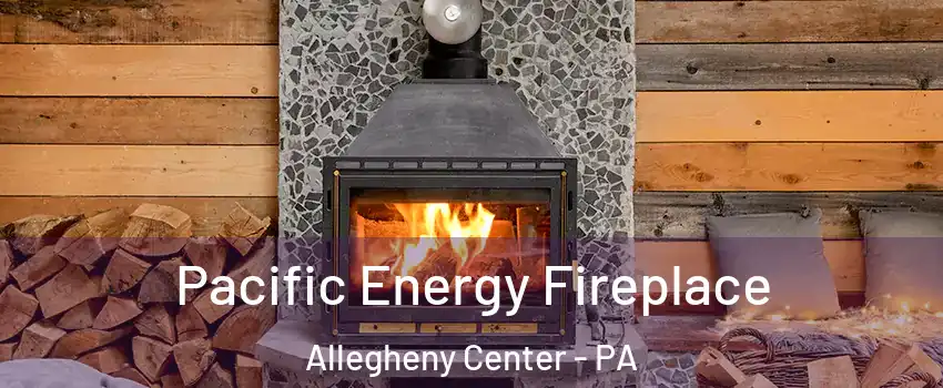 Pacific Energy Fireplace Allegheny Center - PA