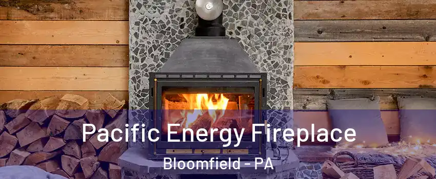 Pacific Energy Fireplace Bloomfield - PA