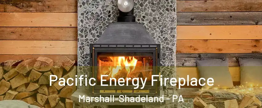 Pacific Energy Fireplace Marshall-Shadeland - PA