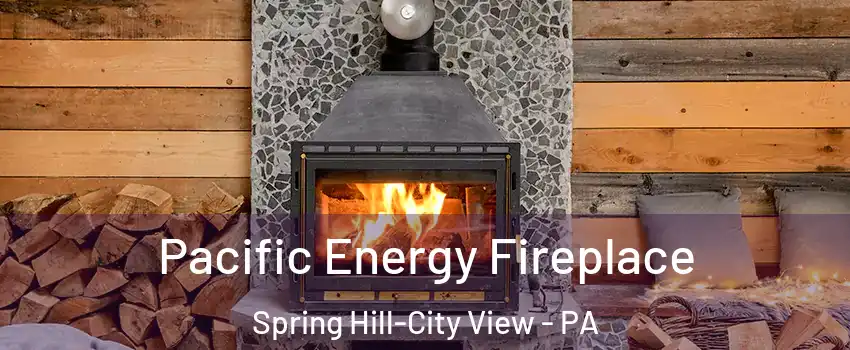 Pacific Energy Fireplace Spring Hill-City View - PA