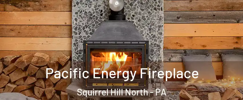 Pacific Energy Fireplace Squirrel Hill North - PA