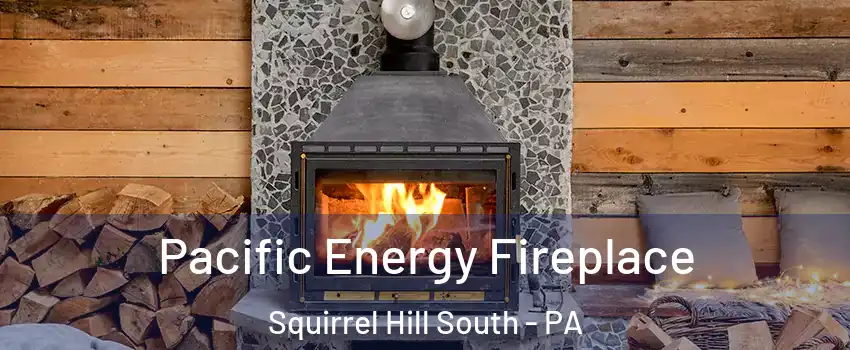 Pacific Energy Fireplace Squirrel Hill South - PA