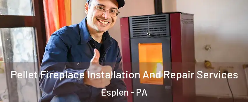Pellet Fireplace Installation And Repair Services Esplen - PA