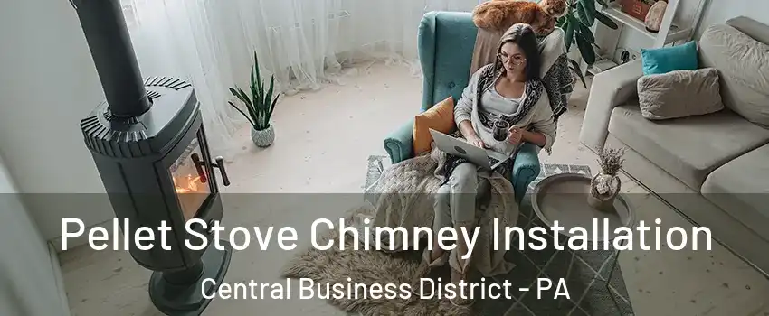 Pellet Stove Chimney Installation Central Business District - PA