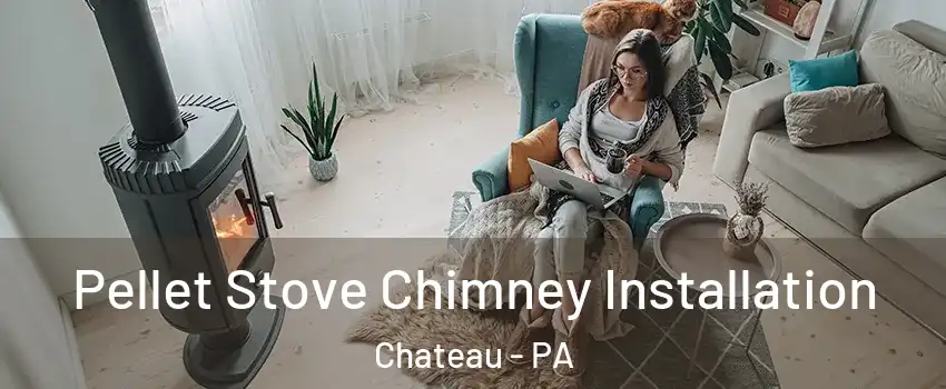 Pellet Stove Chimney Installation Chateau - PA