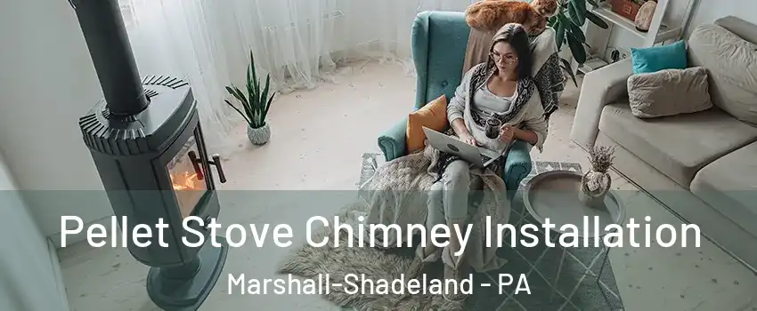 Pellet Stove Chimney Installation Marshall-Shadeland - PA